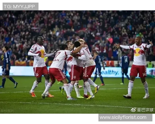 波特兰与圣何塞比赛前瞻分析及胜负预测详解