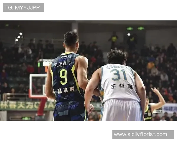 福建与广东的精彩对决全记录分析与回顾